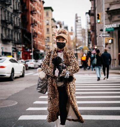 Dog walk in Nolita